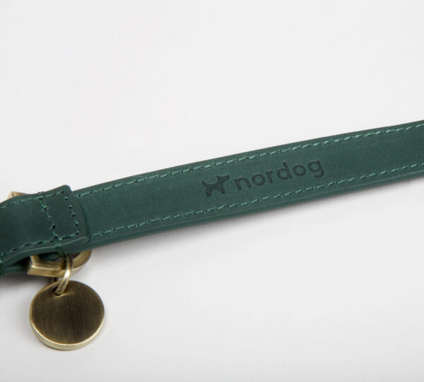 groene hondenhalsband nordog