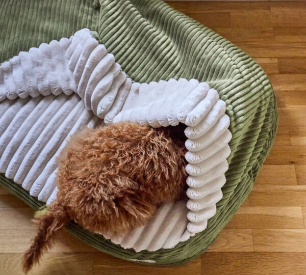 groene hondenmand met deken voor kleine honden