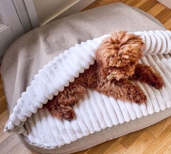 hondenbed met deken beige