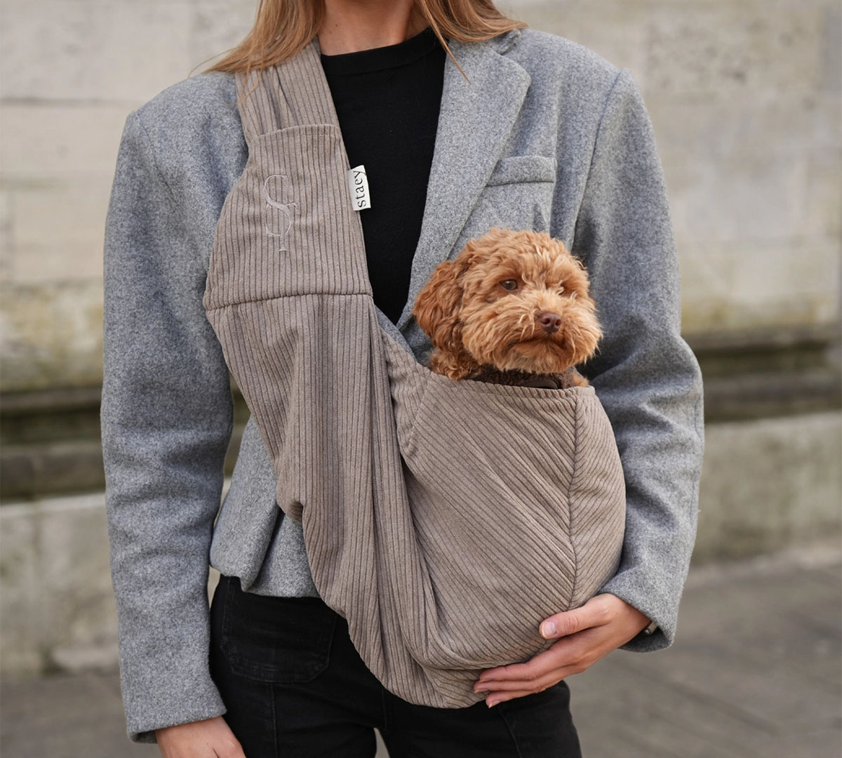 hondendraagzak kleine honden taupe