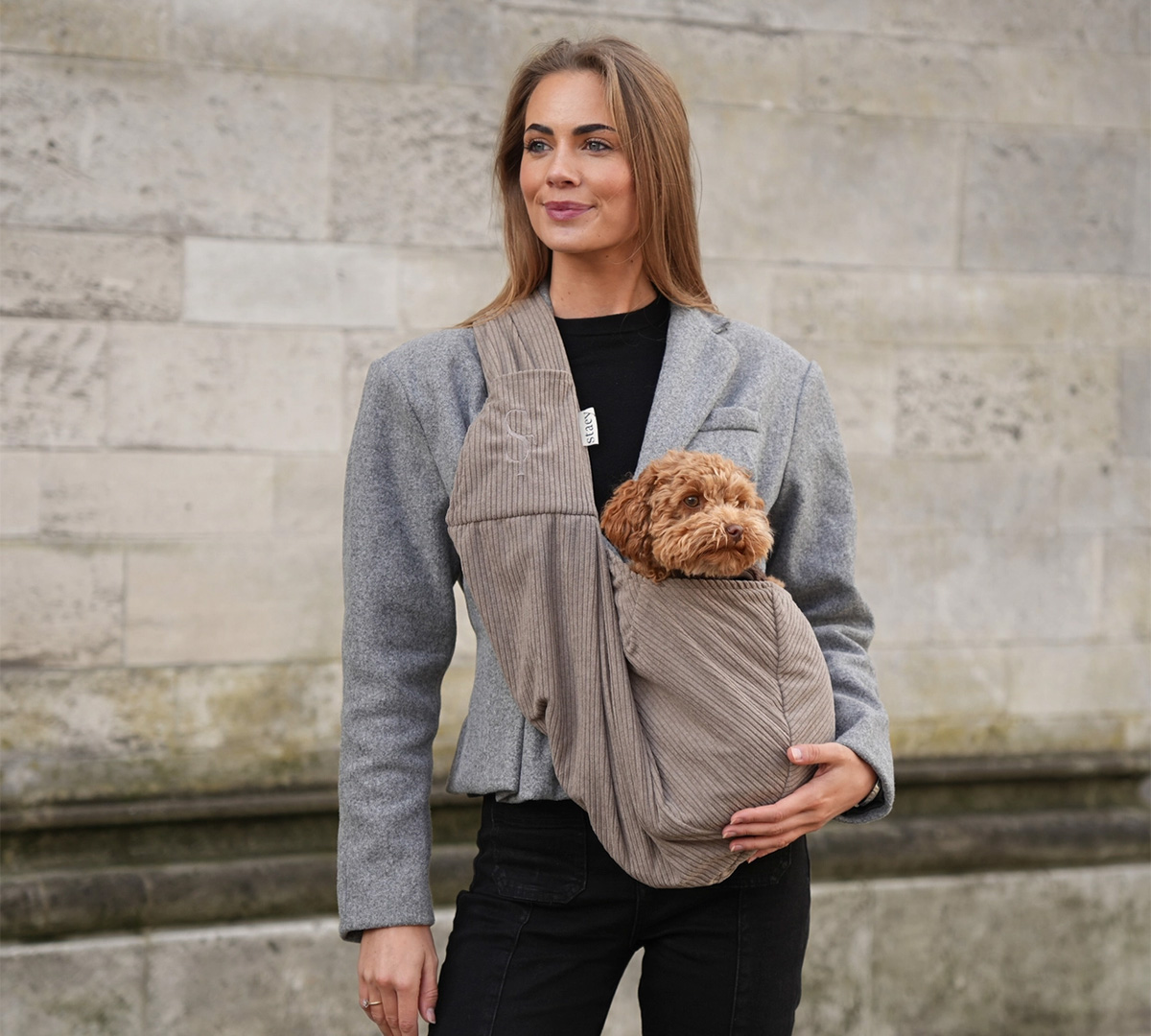 hondentas voor kleine honden