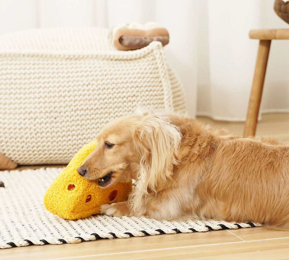 interactief speelgoed hond fromage