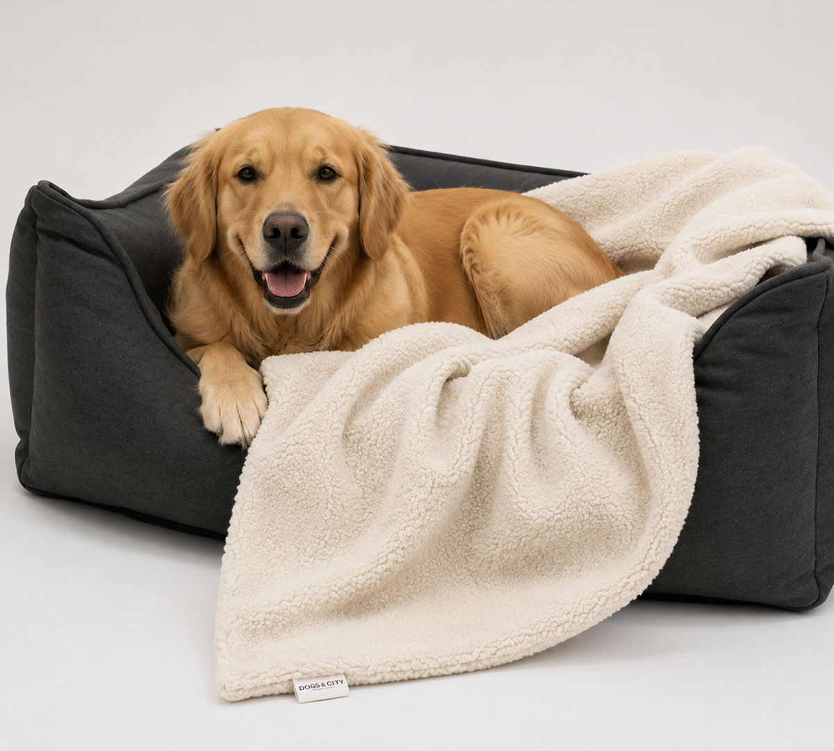 kleed voor honden wit teddy