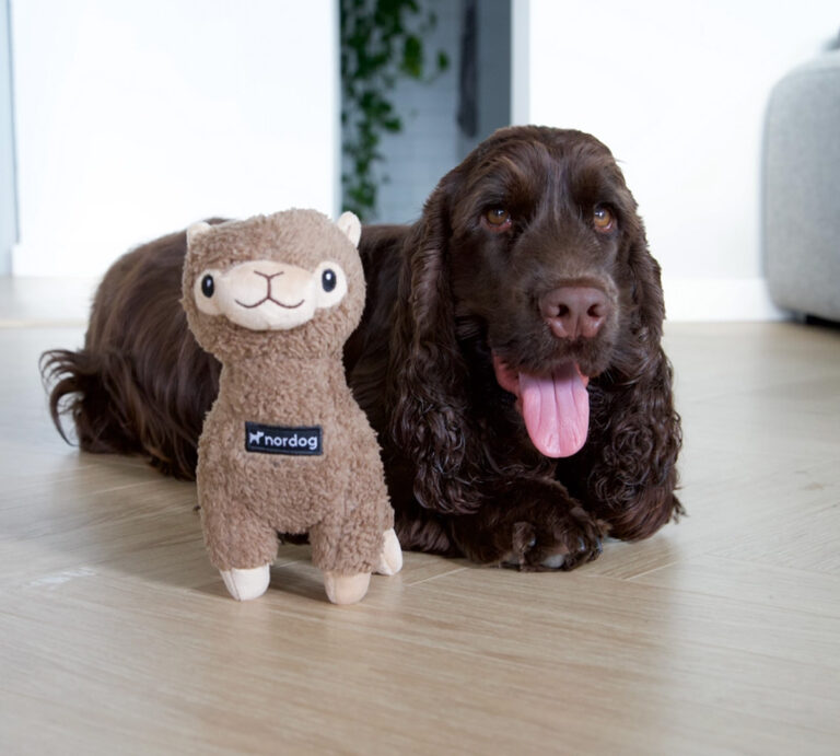 nordog benji alpaca hondenknuffel