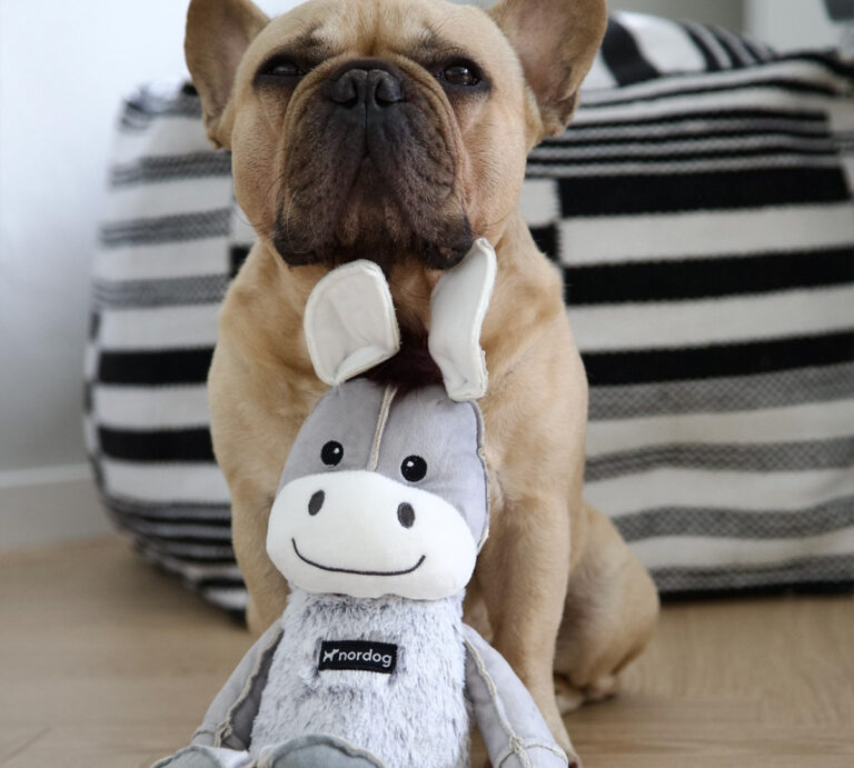 nordog dix donkey hondenknuffel