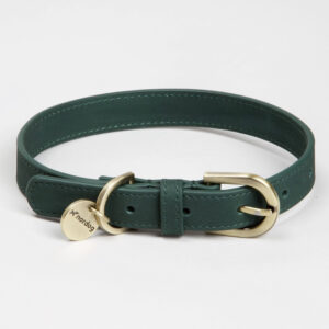 nordog groene hondenhalsband