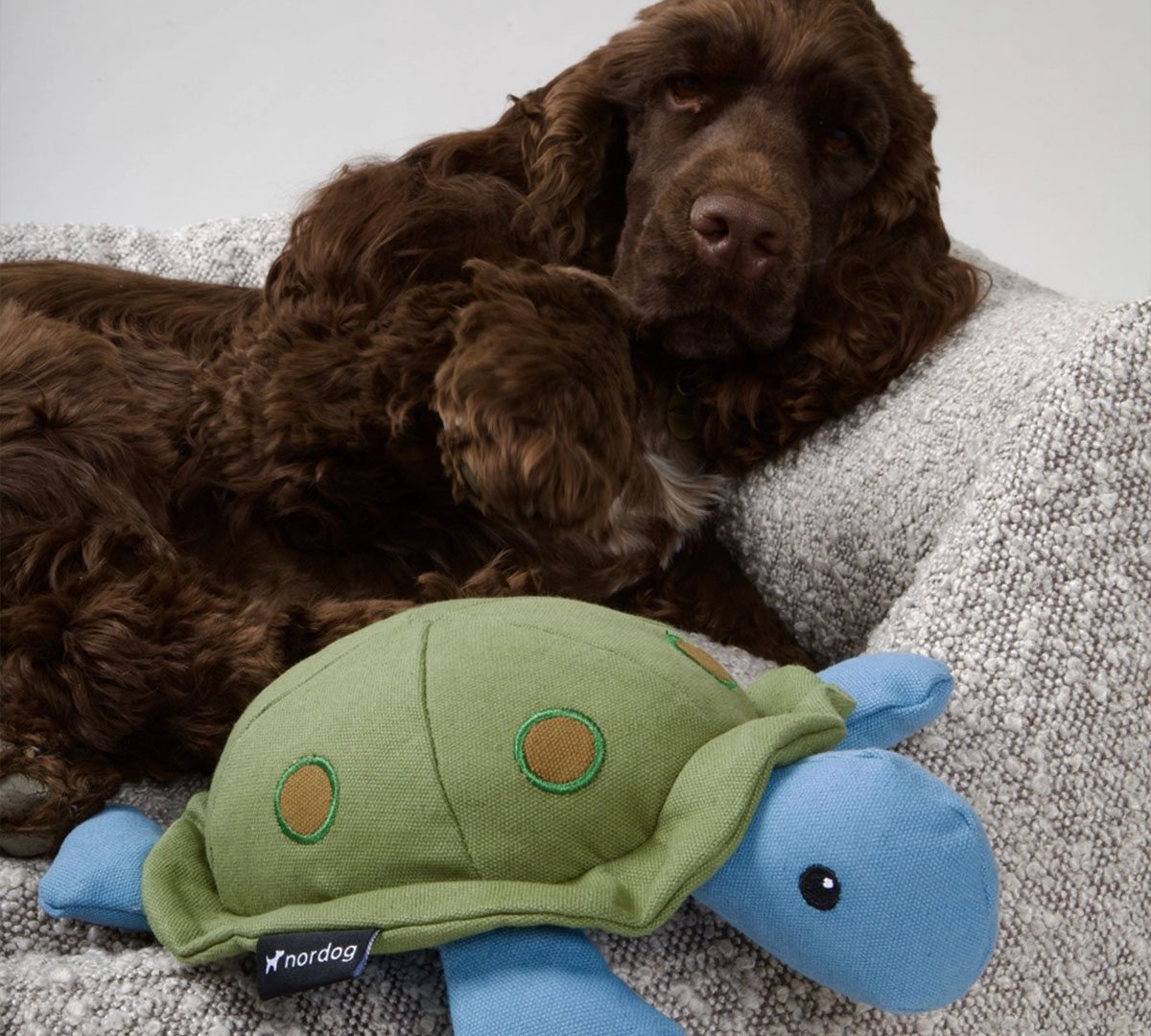 nordog hondenknuffeltje schildpad