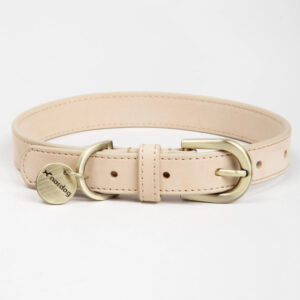 nordog witte hondenhalsband
