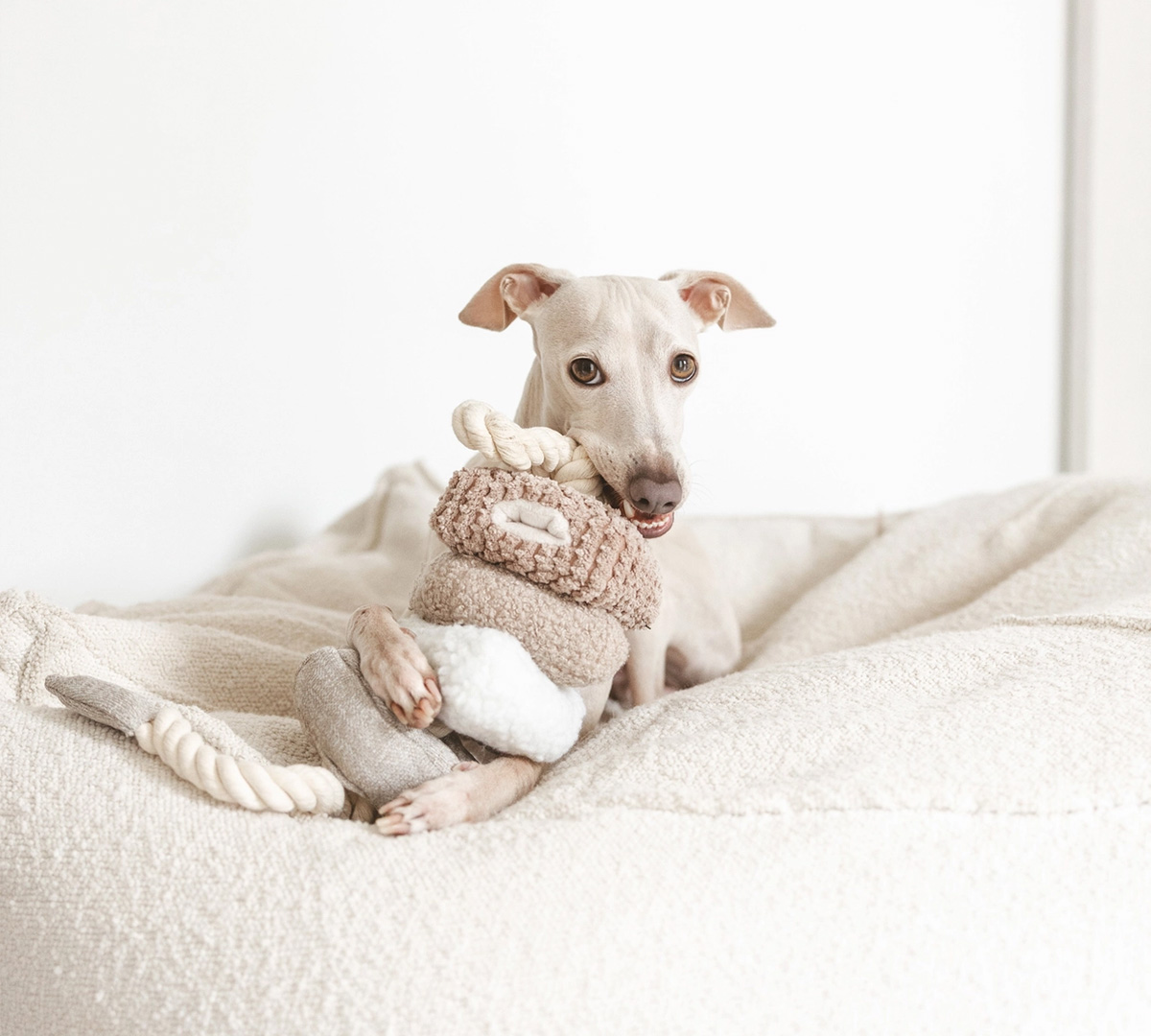 puppy touwspeelgoed en snuffelspeelgoed