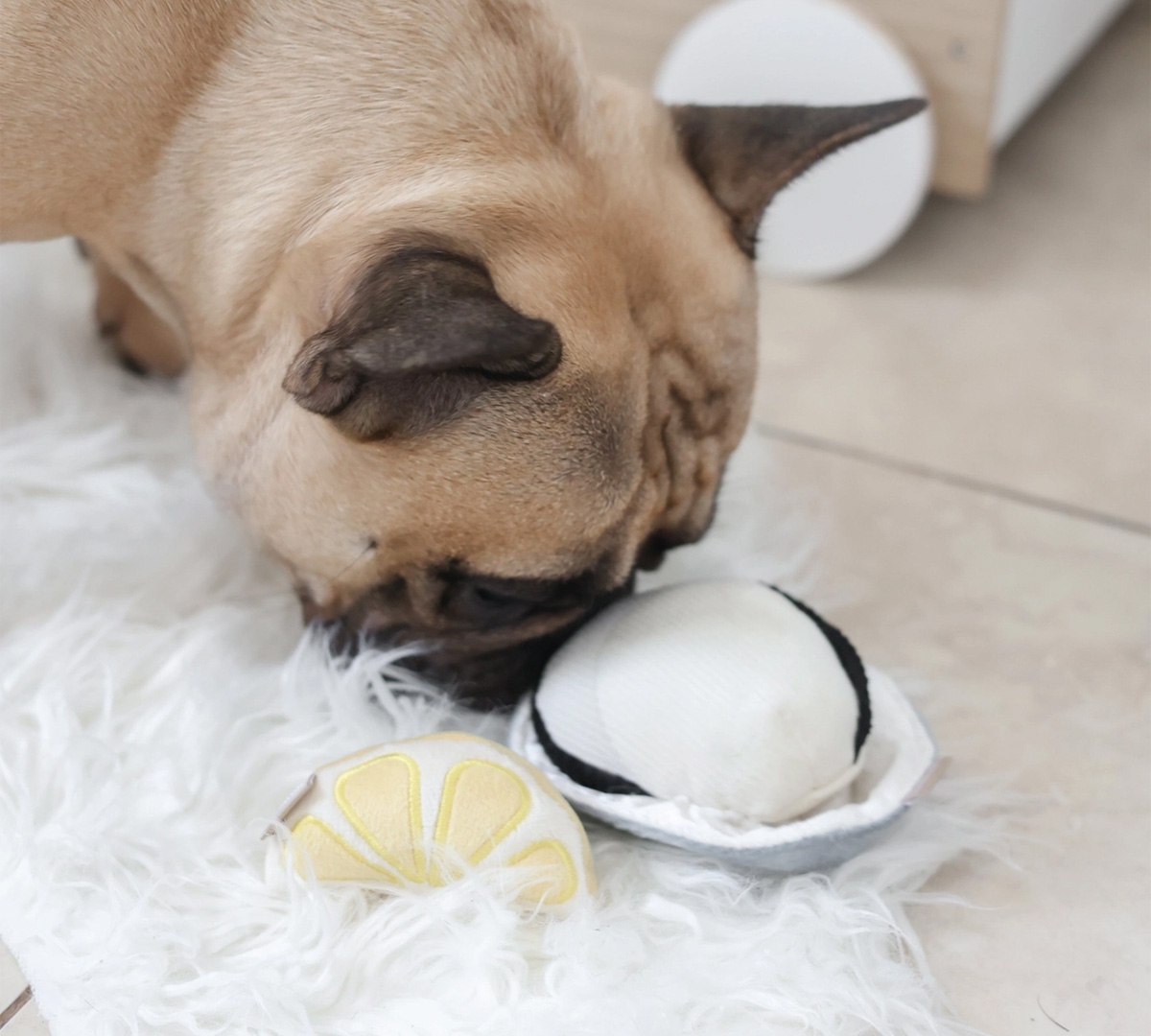 snuffel speelgoed voor puppy