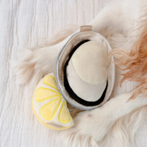 snuffelspeelgoed honden beginner