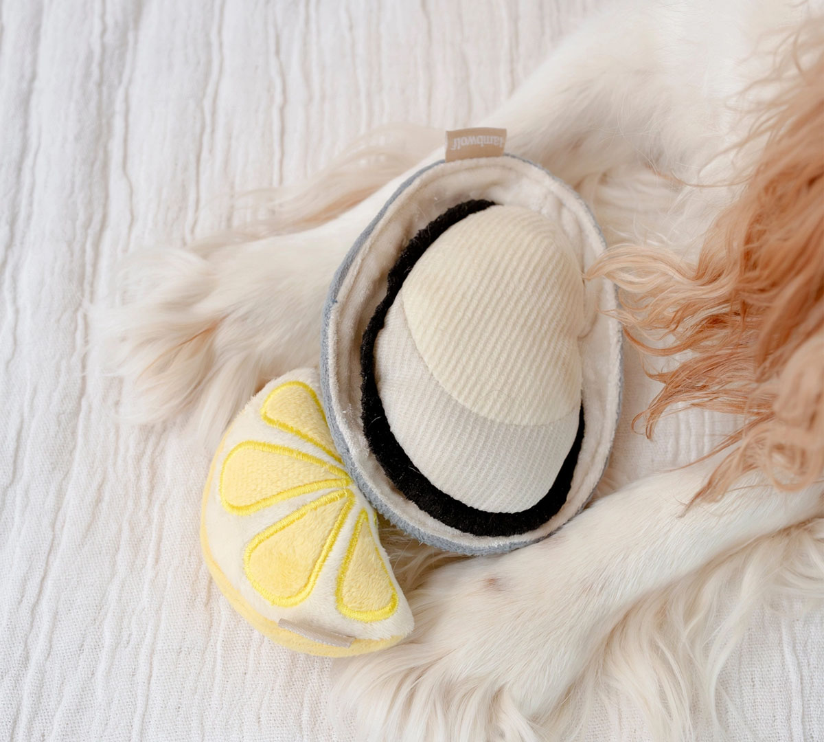 snuffelspeelgoed honden beginner