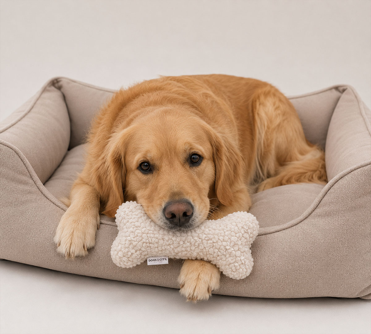 teddy hondenspeelgoed bot wit