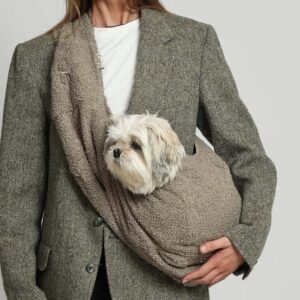 teddy hondentas voor kleine honden