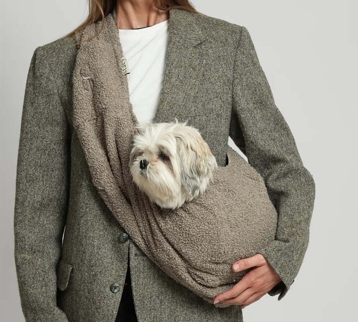teddy hondentas voor kleine honden