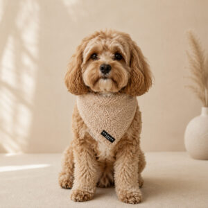 cocopup teddy bandana hond