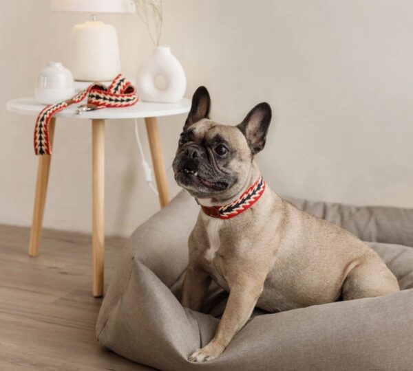 Buddys Dogwear peruvian red