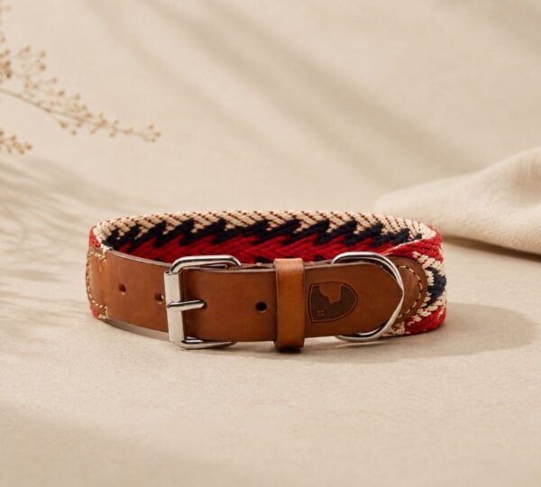 bohemian hondenhalsband