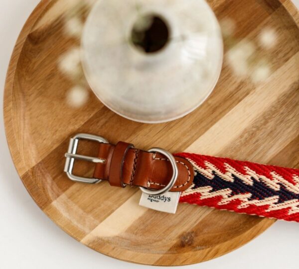 buddys dogwear halsband rood
