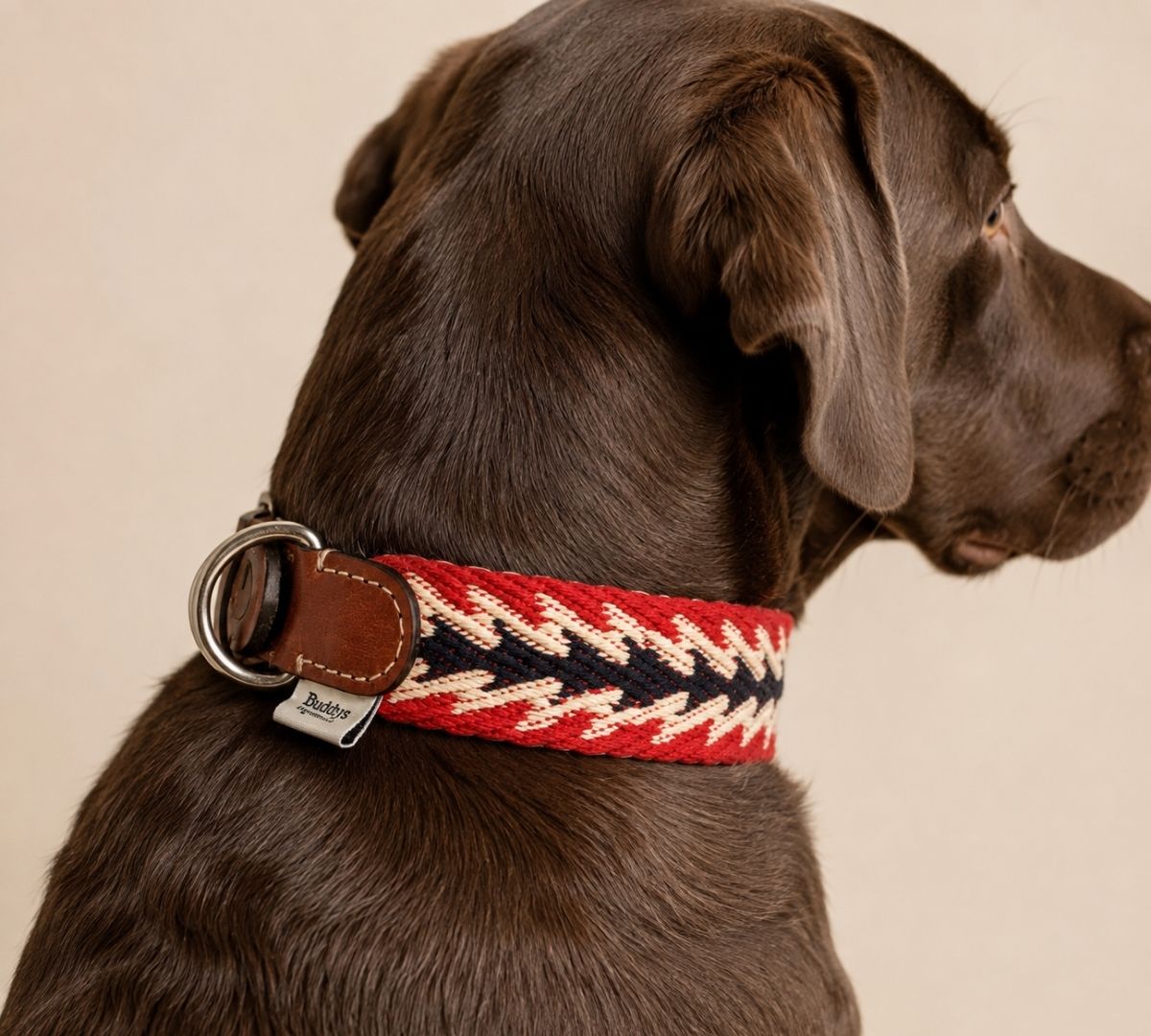 mooie halsband voor honden