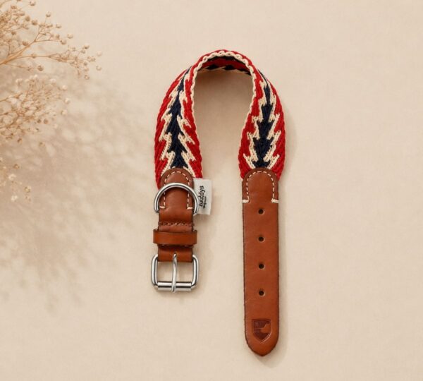 rode hondenhalsband kopen