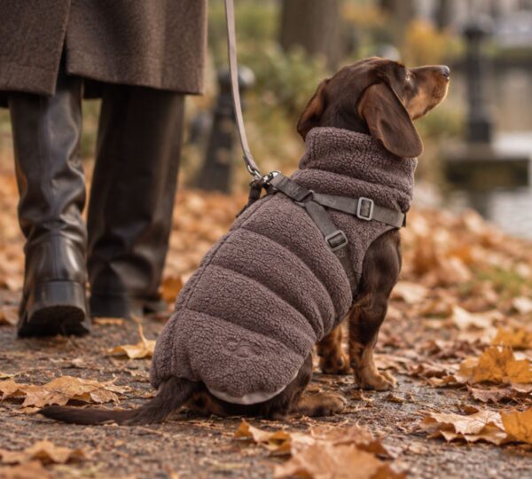 teddy winterjas hond staey